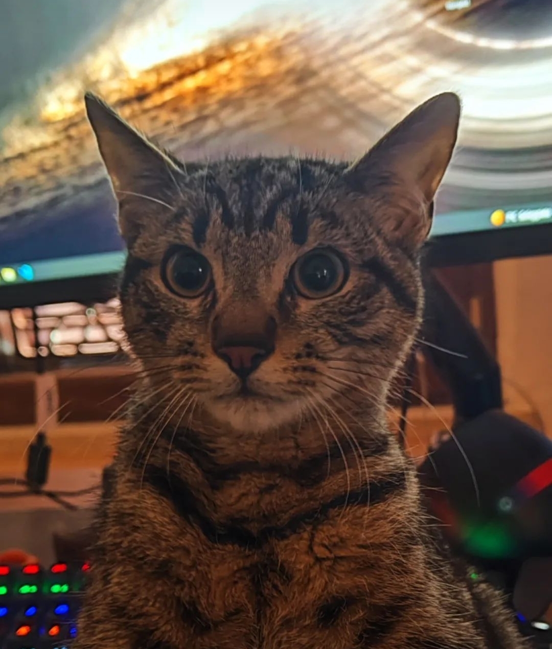 Picture of Little Mike